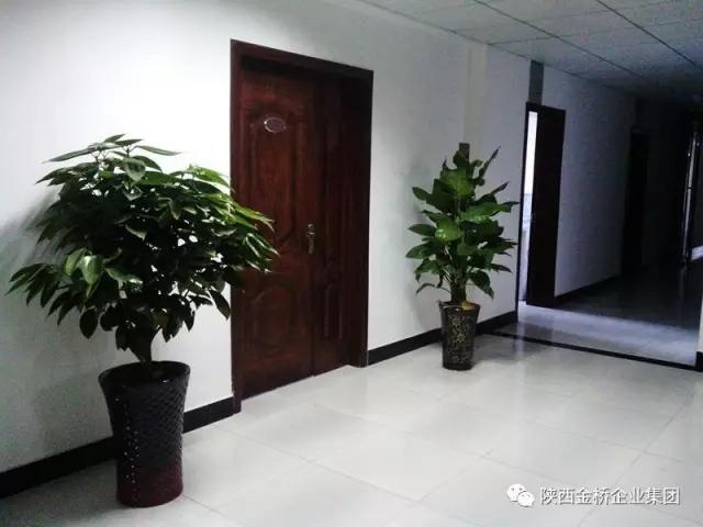 555000公海贵宾会登录