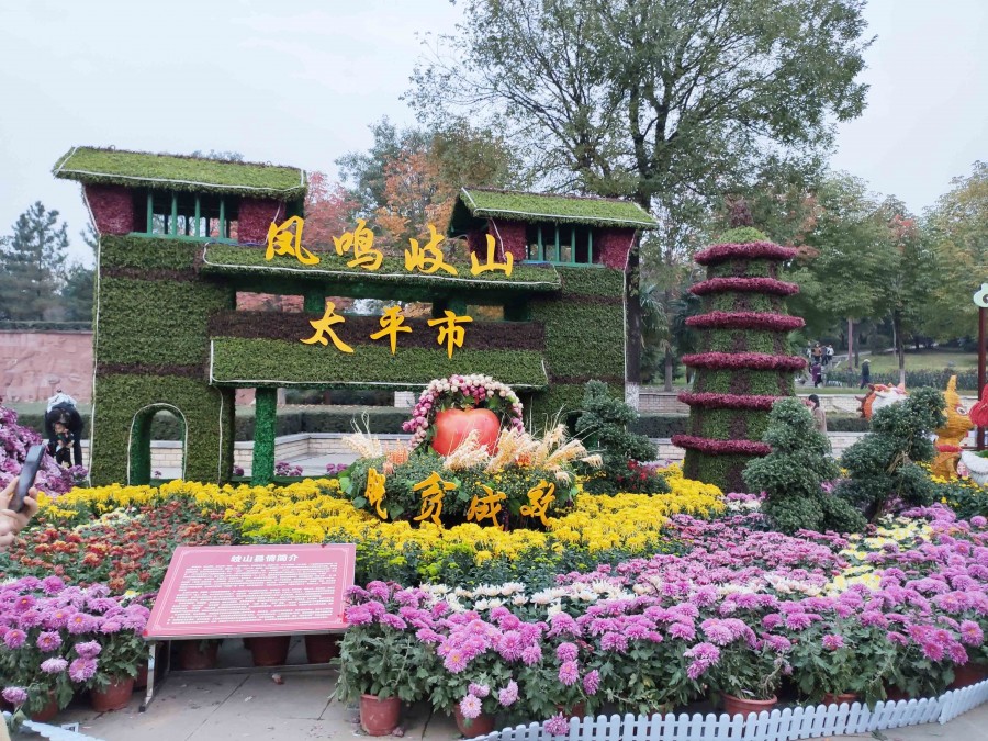 555000公海贵宾会登录