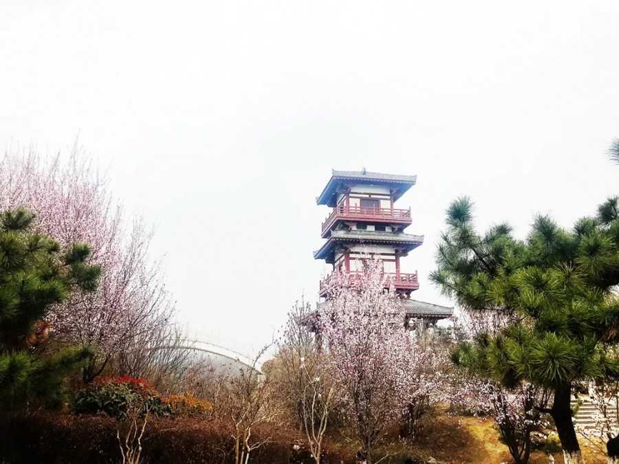 555000公海贵宾会登录